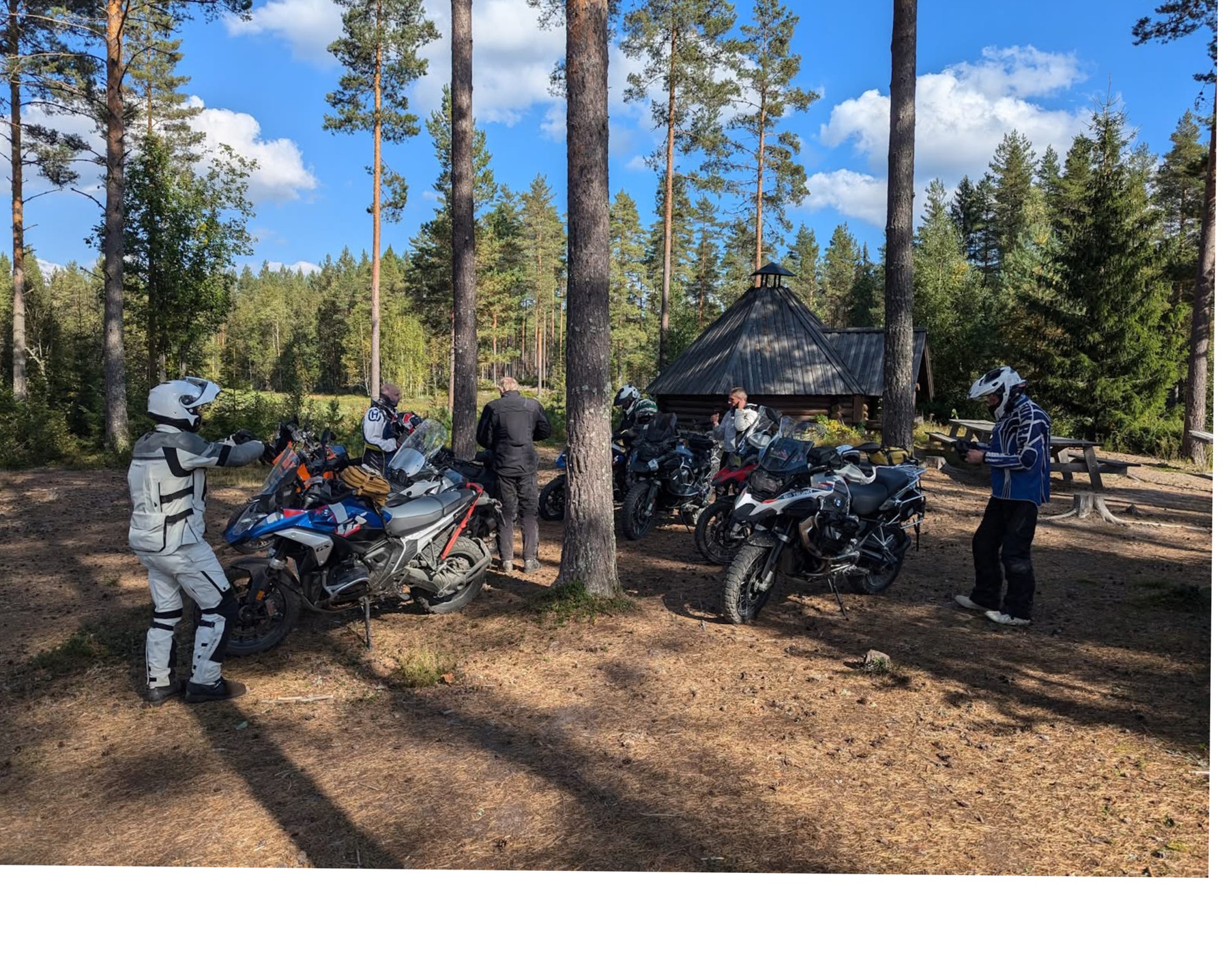 Adventure motorcycles at a forest stop